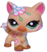 #1582 Destiny Cat